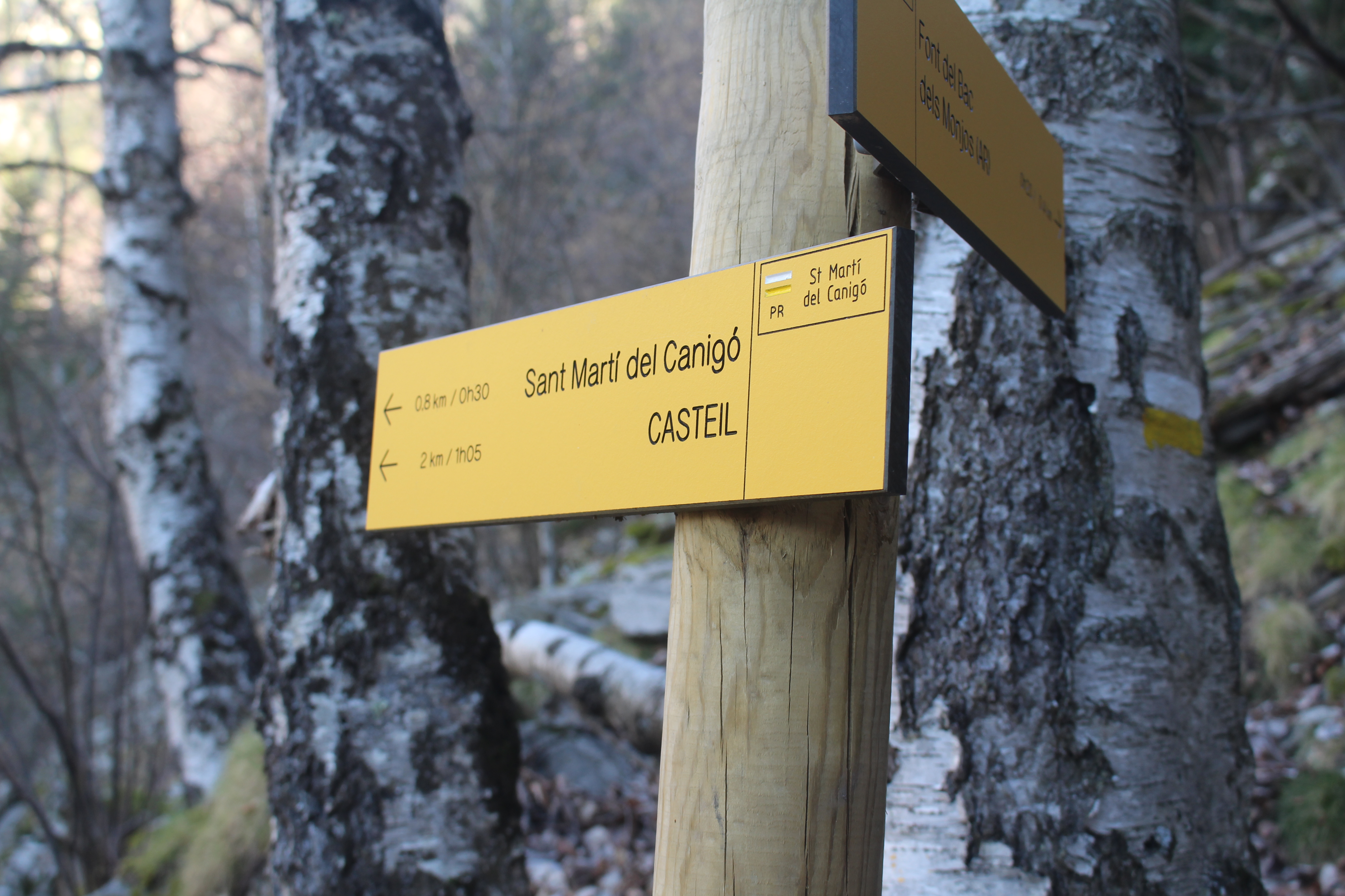 CASTEIL - TOUR DE SAINT-MARTIN DU CANIGO © OTCC